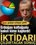 ankett
