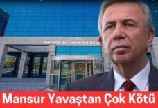 mansur