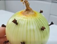 bu soganı