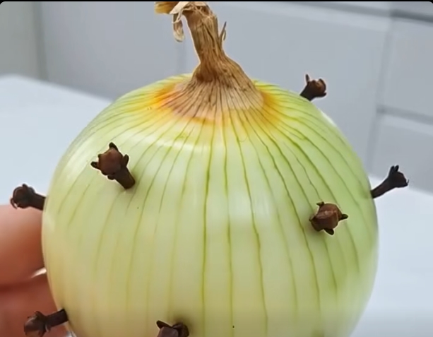 Baba annem soğana hep karanfil sokardı