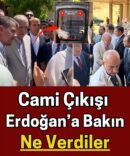 bvvn