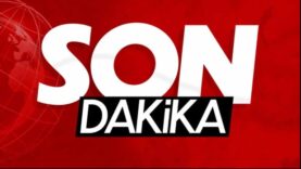 sonnn