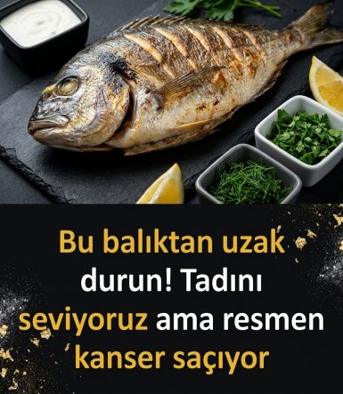 Bu balıktan uzak durun!