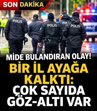 Mide bulandıran olayda15 kişi gözaltına alındı!