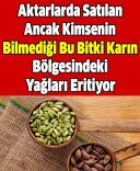 jghjgh