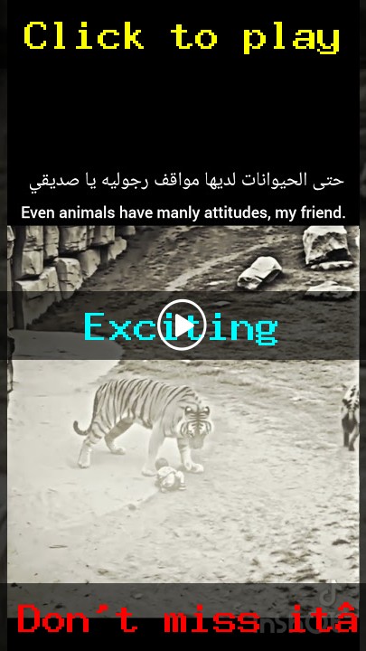youtube-thumb-NMARmDny0s8-16561.jpg