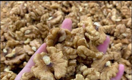 Her Gün Ceviz Yediğinizde Ne Olur