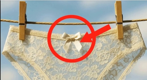 Kadın Çamaşırları Hakkında Herkesin Fark Ettiği