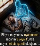 fgfdgd